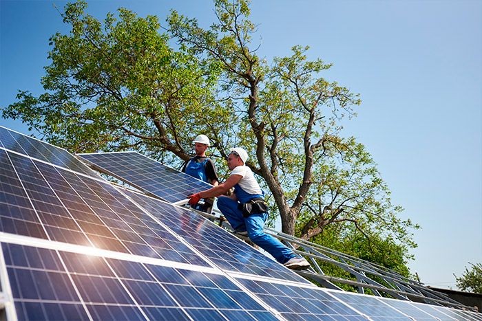 ¿Qué debes saber a la hora de buscar una Célula Solar?