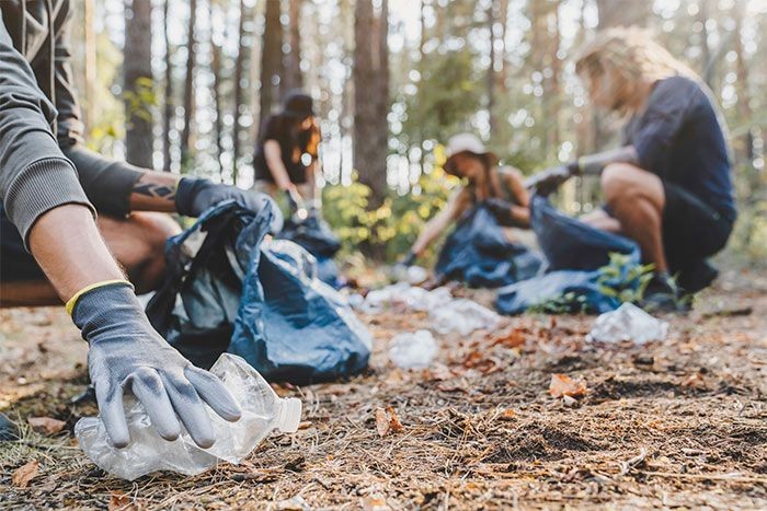 ¿Cómo Podemos Cuidar el Medio Ambiente en Familia?