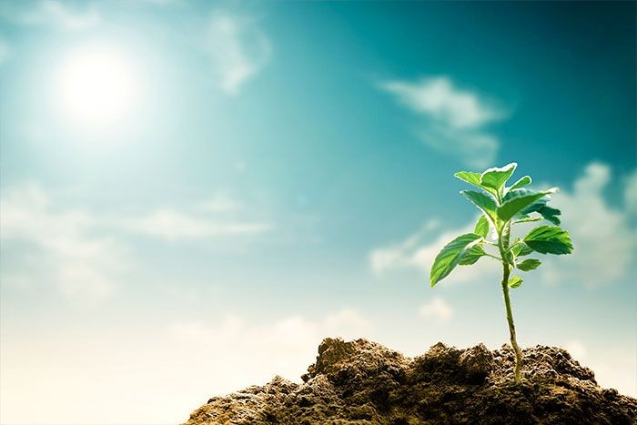 ¿Cómo impacta el Ahorro de Energía al Medio Ambiente?