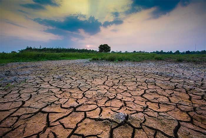 Consumo de Energía: ¿Cómo afecta al Medio Ambiente?