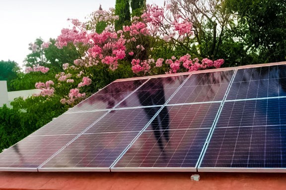 instalacion con flores